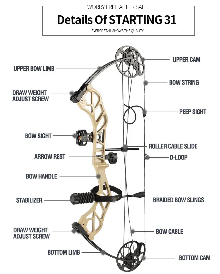 Topoint Starting 31 Hunter Compound Bow RH only